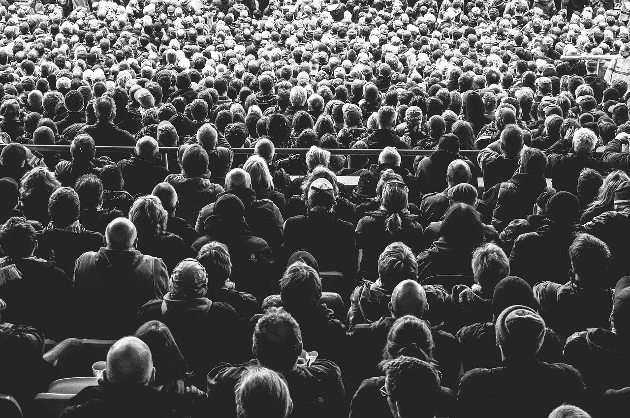 audience, crowd, people